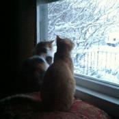 Tommy and Gina watching the snow fall