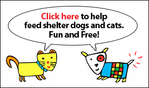 FreeKibble – Click to Feed Shelter Cats & Dogs!